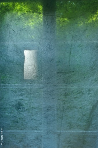 Photo © Ernesto Timor