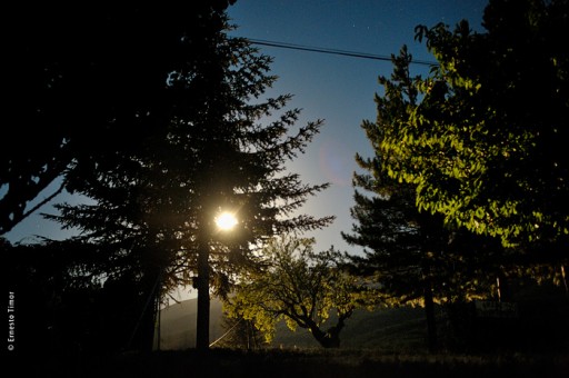 shot: aug 12 | printed: today | curiosity killed the moon | south of france