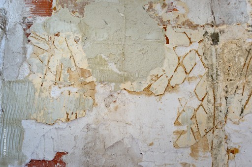 shot: aug 12 | printed: today | loop wall | distant outskirts of lyon