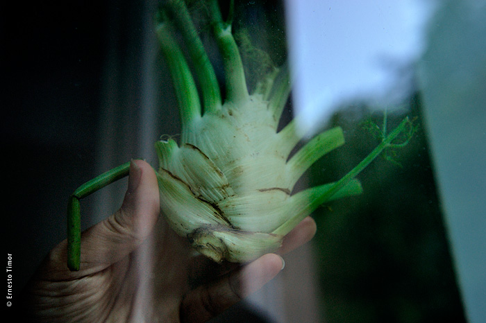 Les inventions oubliées : aujourd’hui, la vraie vie