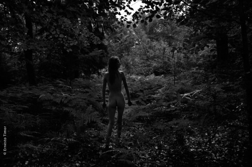 Cliquez pour agrandir  © Ernesto Timor Photo © Ernesto Timor