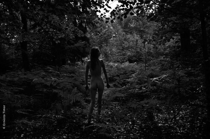 En attendant l’aube