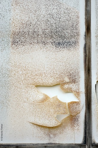 Photo © Ernesto Timor