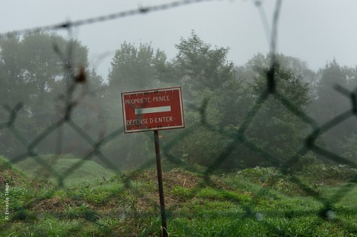 Cliquez pour agrandir Photo © Ernesto Timor