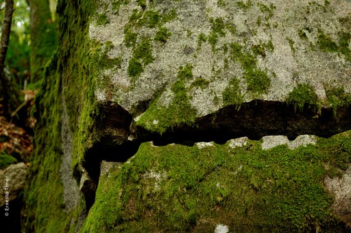 Cliquez pour agrandir Photo © Ernesto Timor