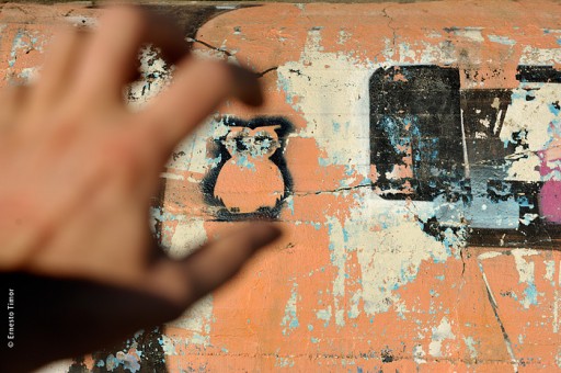 Photo © Ernesto Timor