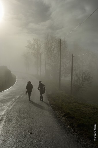 Photo © Ernesto Timor