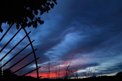 Photo © Ernesto Timor