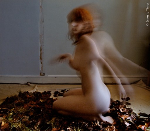 Cliquez pour visionner la série Photo © Ernesto Timor