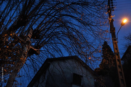 Cliquer pour agrandir Photo © Ernesto Timor