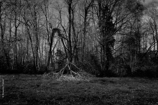 Photo © Ernesto Timor