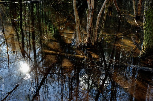 Photo © Ernesto Timor