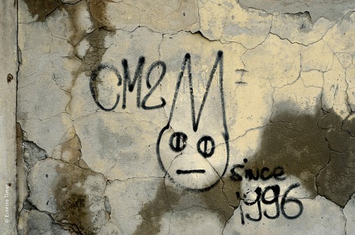 Photo © Ernesto Timor