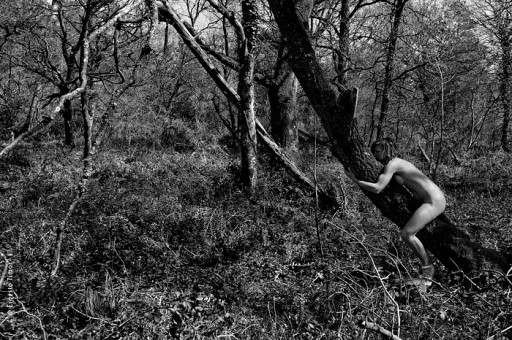 Photo © Ernesto Timor