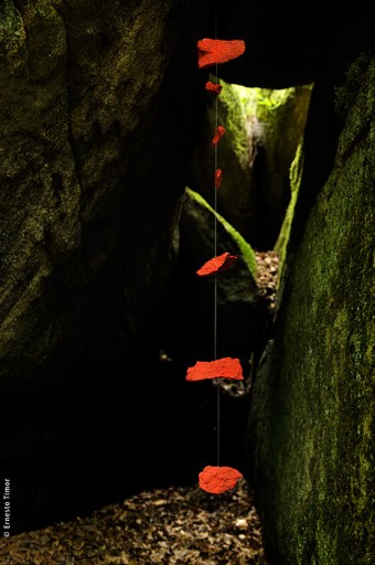 Cliquer pour agrandir Photo © Ernesto Timor
