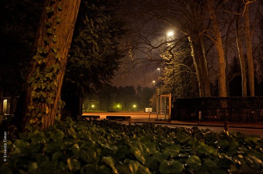 Photo © Ernesto Timor