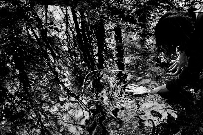 Les attractions nécessaires :  aujourd’hui l’incontournable