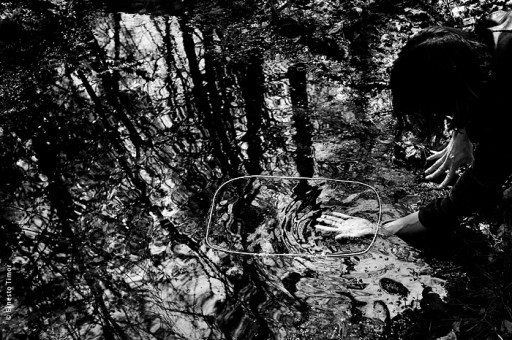 Photo © Ernesto Timor