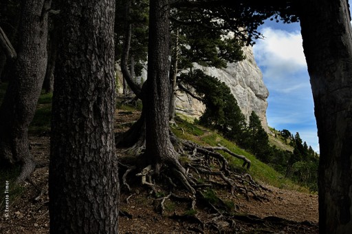 Photo © Ernesto Timor