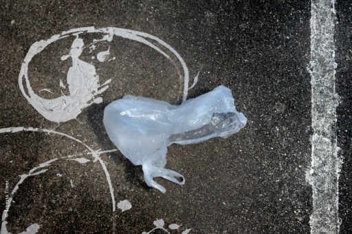 Photo © Ernesto Timor