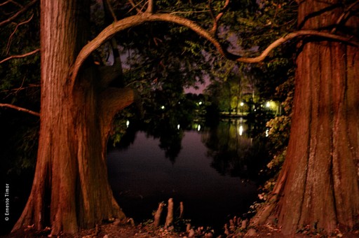 Photo © Ernesto Timor