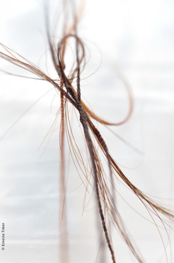 Photo © Ernesto Timor