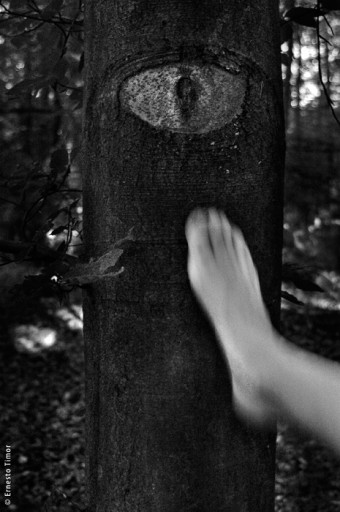 Cliquer pour agrandir 0507-bligny-laet8819