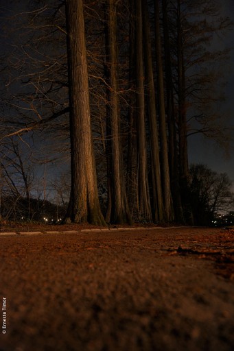 Photo © Ernesto Timor