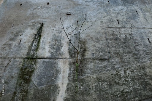 Photo © Ernesto Timor