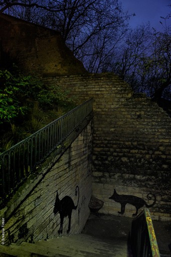 Photo © Ernesto Timor