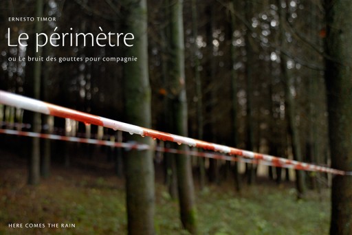 Cliquer pour visionner la séquence Photo © Ernesto Timor