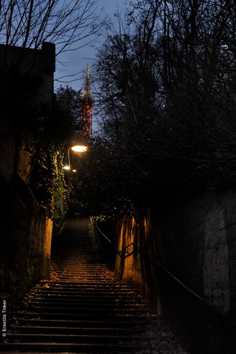 Photo © Ernesto Timor