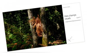 Photo © Ernesto Timor