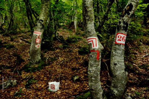 Photo © Ernesto Timor