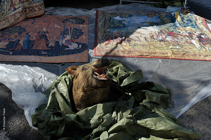 Tableau de chasse