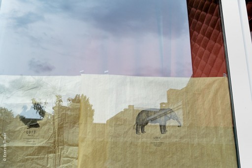 Photo © Ernesto Timor