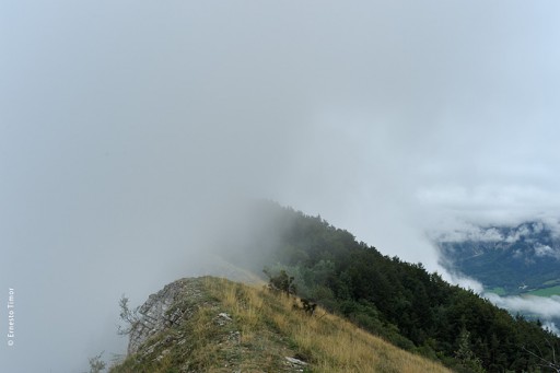 Photo © Ernesto Timor