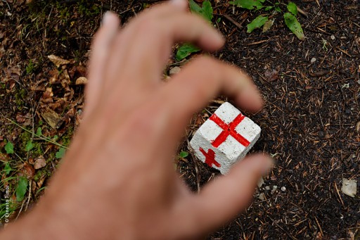 Photo © Ernesto Timor