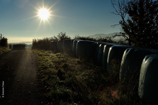 Photo © Ernesto Timor