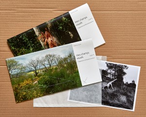 Cliquer pour agrandir Photo et graphisme © Timor Rocks !