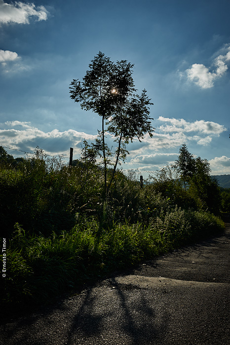 L’image qui m’est venue tout d’un coup à l’esprit