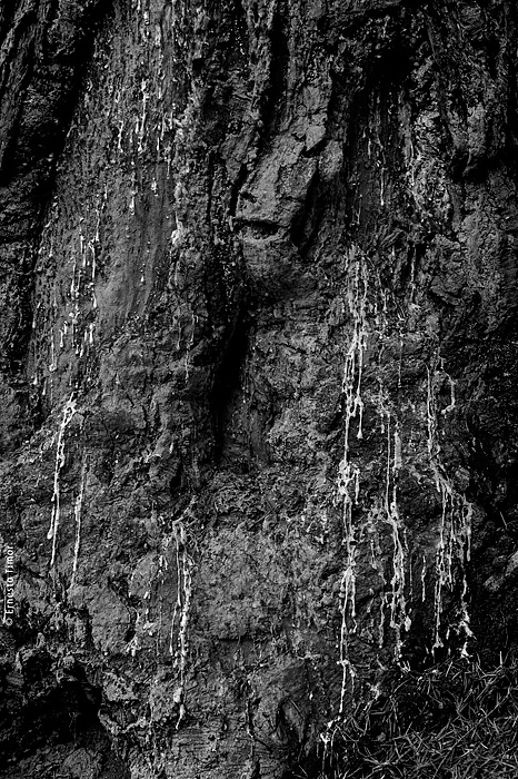 Le monde est clos…