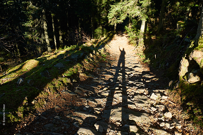 La confusion de l’échassier