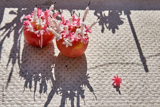 Photo © Ernesto Timor - l'anniversaire