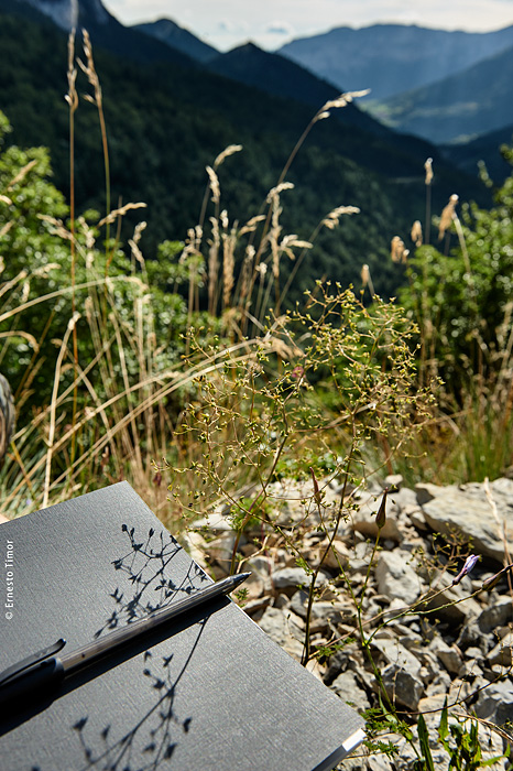 Journal d’un décor