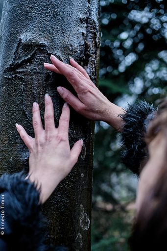 Photo © Ernesto Timor - Arbre en hiver