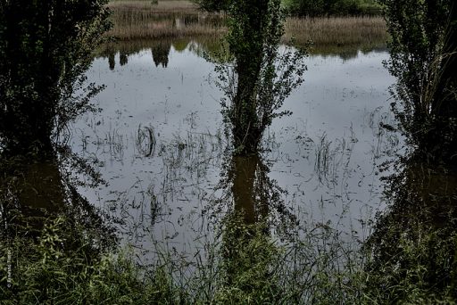 Photo © Ernesto Timor - Yvette en crue