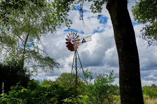 Photo © Ernesto Timor