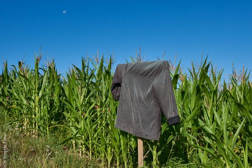Photo © Ernesto Timor - La lune et l'épouvantail