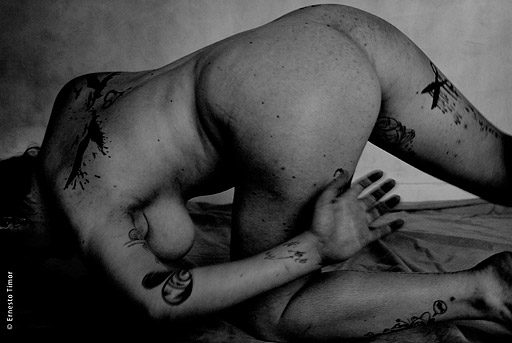 Photo © Ernesto Timor - 